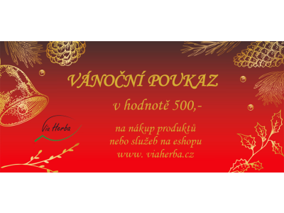 VÁNOČNÍ POUKAZ