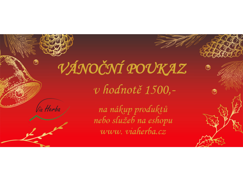 VÁNOČNÍ POUKAZ