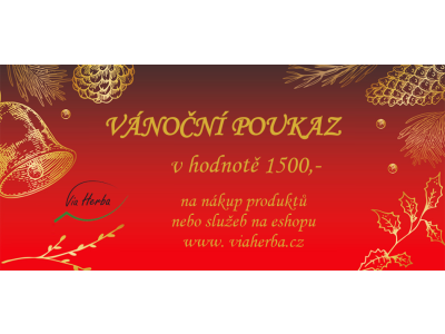 VÁNOČNÍ POUKAZ
