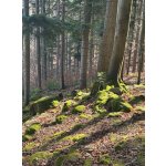 BYLINKY POD SOLÁNĚM                          4 - 7. června 2026