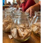 BYLINKY POD SOLÁNĚM                          4 - 7. června 2026