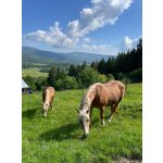 BYLINKY POD SOLÁNĚM                          4 - 7. června 2026