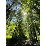 BYLINKY POD SOLÁNĚM                          4 - 7. června 2026