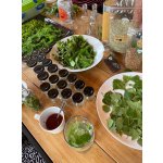 BYLINKY POD SOLÁNĚM                          4 - 7. června 2026