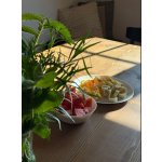 BYLINKY POD SOLÁNĚM                          4 - 7. června 2026