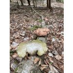 BYLINKY POD SOLÁNĚM                          4 - 7. června 2026