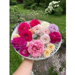 BYLINKOVÝ KURZ V ZAHRADĚ 21. 6. 2026