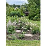 BYLINKOVÝ KURZ V ZAHRADĚ 21. 6. 2026