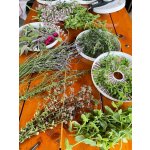 BYLINKOVÝ KURZ V ZAHRADĚ 21. 6. 2026