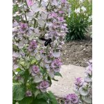 BYLINKOVÝ KURZ V ZAHRADĚ 21. 6. 2026