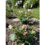 BYLINKOVÝ KURZ V ZAHRADĚ 21. 6. 2026