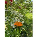 BYLINKOVÝ KURZ V ZAHRADĚ 21. 6. 2026