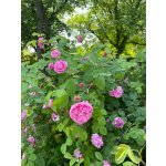 BYLINKOVÝ KURZ V ZAHRADĚ 21. 6. 2026