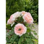 BYLINKOVÝ KURZ V ZAHRADĚ 21. 6. 2026