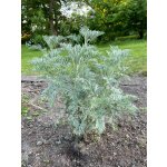 BYLINKOVÝ KURZ V ZAHRADĚ 21. 6. 2026