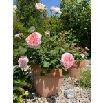 BYLINKOVÝ KURZ V ZAHRADĚ 21. 6. 2026