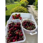 BYLINKOVÝ KURZ V ZAHRADĚ 21. 6. 2026