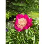 BYLINKOVÝ KURZ V ZAHRADĚ 21. 6. 2026