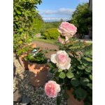 BYLINKOVÝ KURZ V ZAHRADĚ 21. 6. 2026