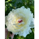 BYLINKOVÝ KURZ V ZAHRADĚ 21. 6. 2026