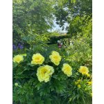 BYLINKOVÝ KURZ V ZAHRADĚ 21. 6. 2026