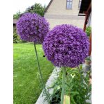 BYLINKOVÝ KURZ V ZAHRADĚ 21. 6. 2026