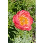 BYLINKOVÝ KURZ V ZAHRADĚ 21. 6. 2026