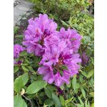 BYLINKOVÝ KURZ V ZAHRADĚ 21. 6. 2026