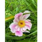 BYLINKOVÝ KURZ V ZAHRADĚ 21. 6. 2026