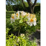 BYLINKOVÝ KURZ V ZAHRADĚ 21. 6. 2026