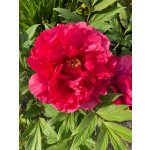 BYLINKOVÝ KURZ V ZAHRADĚ 21. 6. 2026