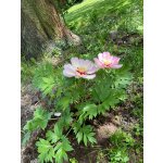 BYLINKOVÝ KURZ V ZAHRADĚ 21. 6. 2026