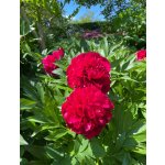 BYLINKOVÝ KURZ V ZAHRADĚ 21. 6. 2026