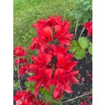 BYLINKOVÝ KURZ V ZAHRADĚ 21. 6. 2026