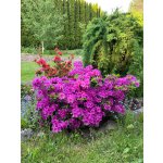 BYLINKOVÝ KURZ V ZAHRADĚ 21. 6. 2026