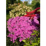 BYLINKOVÝ KURZ V ZAHRADĚ 21. 6. 2026