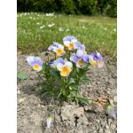 BYLINKOVÝ KURZ V ZAHRADĚ 21. 6. 2026