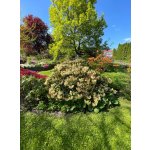 BYLINKOVÝ KURZ V ZAHRADĚ 21. 6. 2026