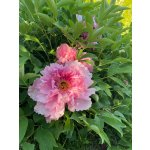 BYLINKOVÝ KURZ V ZAHRADĚ 21. 6. 2026