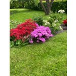 BYLINKOVÝ KURZ V ZAHRADĚ 21. 6. 2026