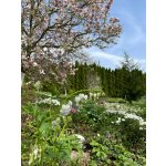 BYLINKOVÝ KURZ V ZAHRADĚ 21. 6. 2026