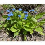 BYLINKOVÝ KURZ V ZAHRADĚ 21. 6. 2026