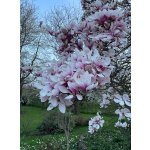 BYLINKOVÝ KURZ V ZAHRADĚ 21. 6. 2026