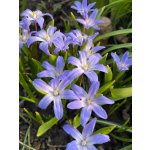 BYLINKOVÝ KURZ V ZAHRADĚ 21. 6. 2026