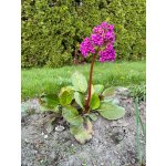 BYLINKOVÝ KURZ V ZAHRADĚ 21. 6. 2026