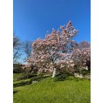 BYLINKOVÝ KURZ V ZAHRADĚ 21. 6. 2026