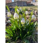 BYLINKOVÝ KURZ V ZAHRADĚ 21. 6. 2026