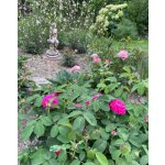 BYLINKOVÝ KURZ V ZAHRADĚ 21. 6. 2026