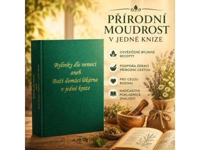 Bylinky dle nemocí aneb Boží domácí lékárna v jedné knize